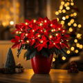 Radiant Ruby Poinsettia